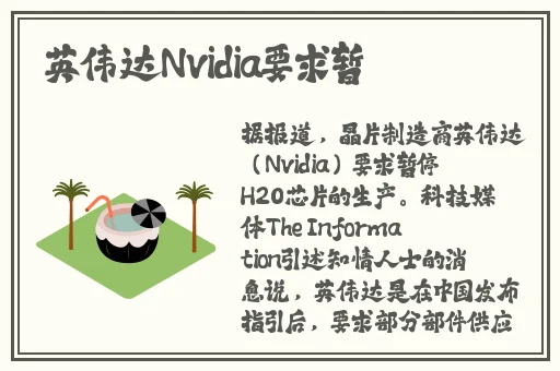 妈妈的朋友1在线观看